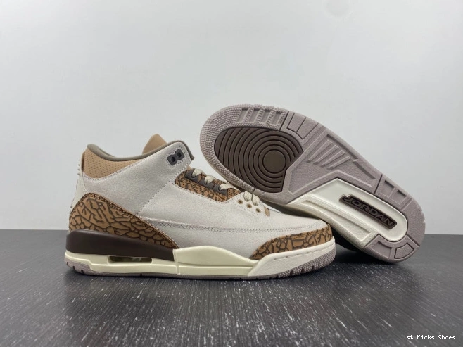 1st Kicks Palomino Jordan 3 CT8532-102 Air 0723